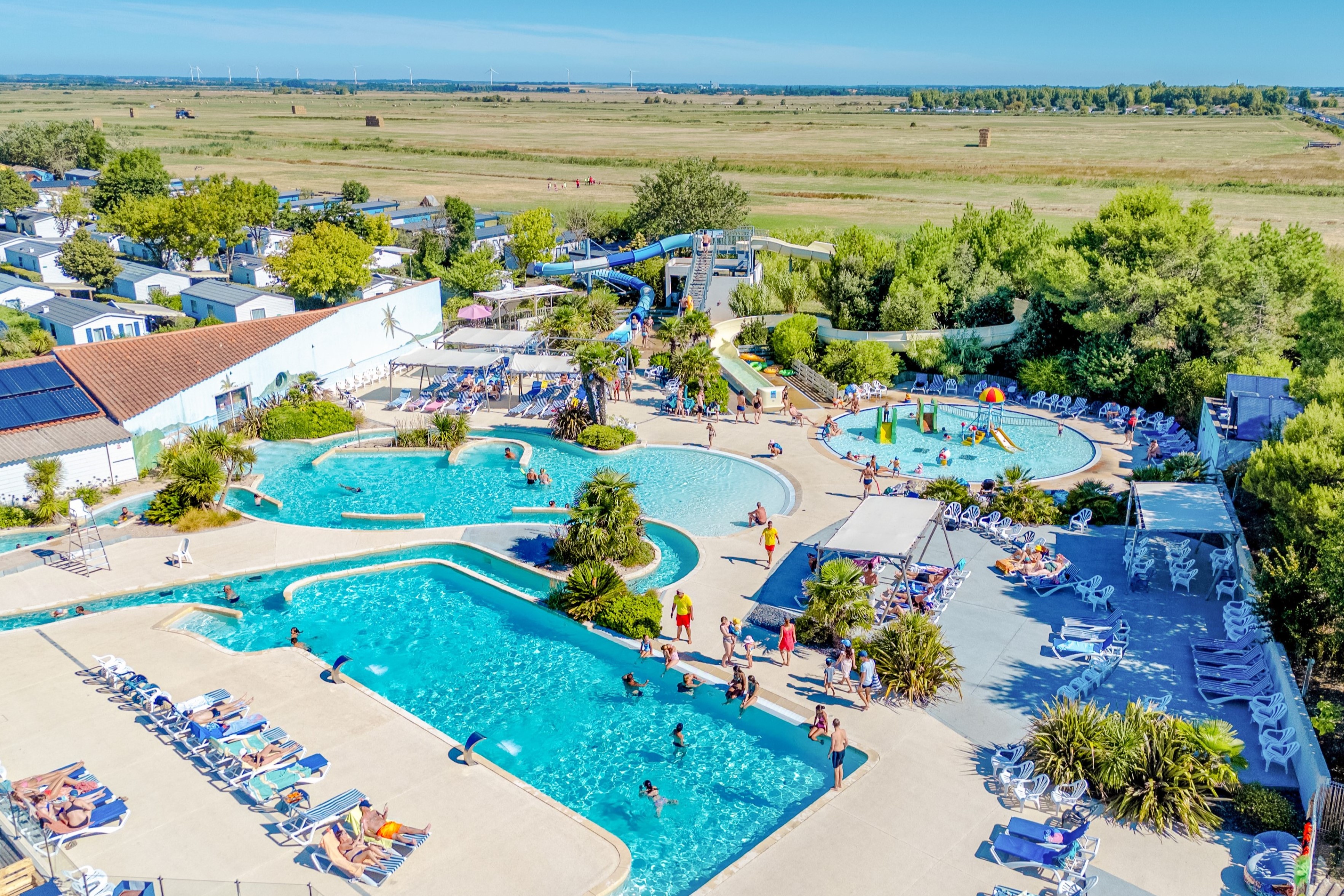 LES BLANCS CHENES ****