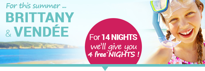 Our offers Special offer for 2 weeks in July