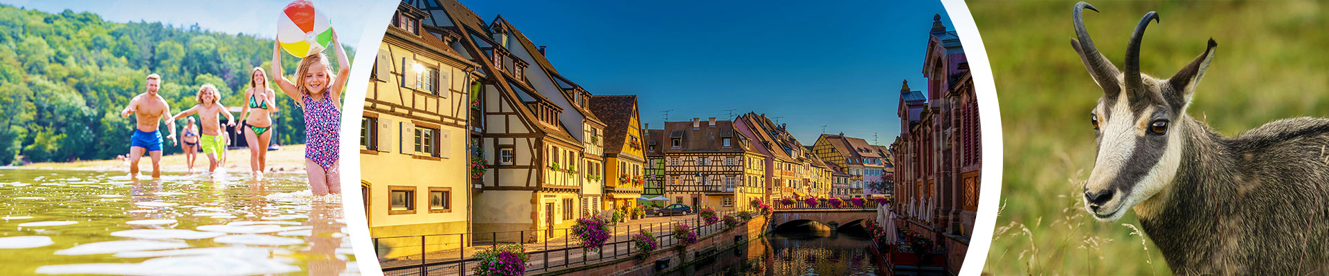 Camping Alsace: a vacation just steps from Germany