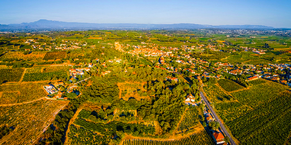 DESTINATION VAUCLUSE