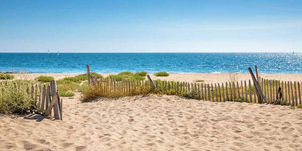 ETOILE DE MER **